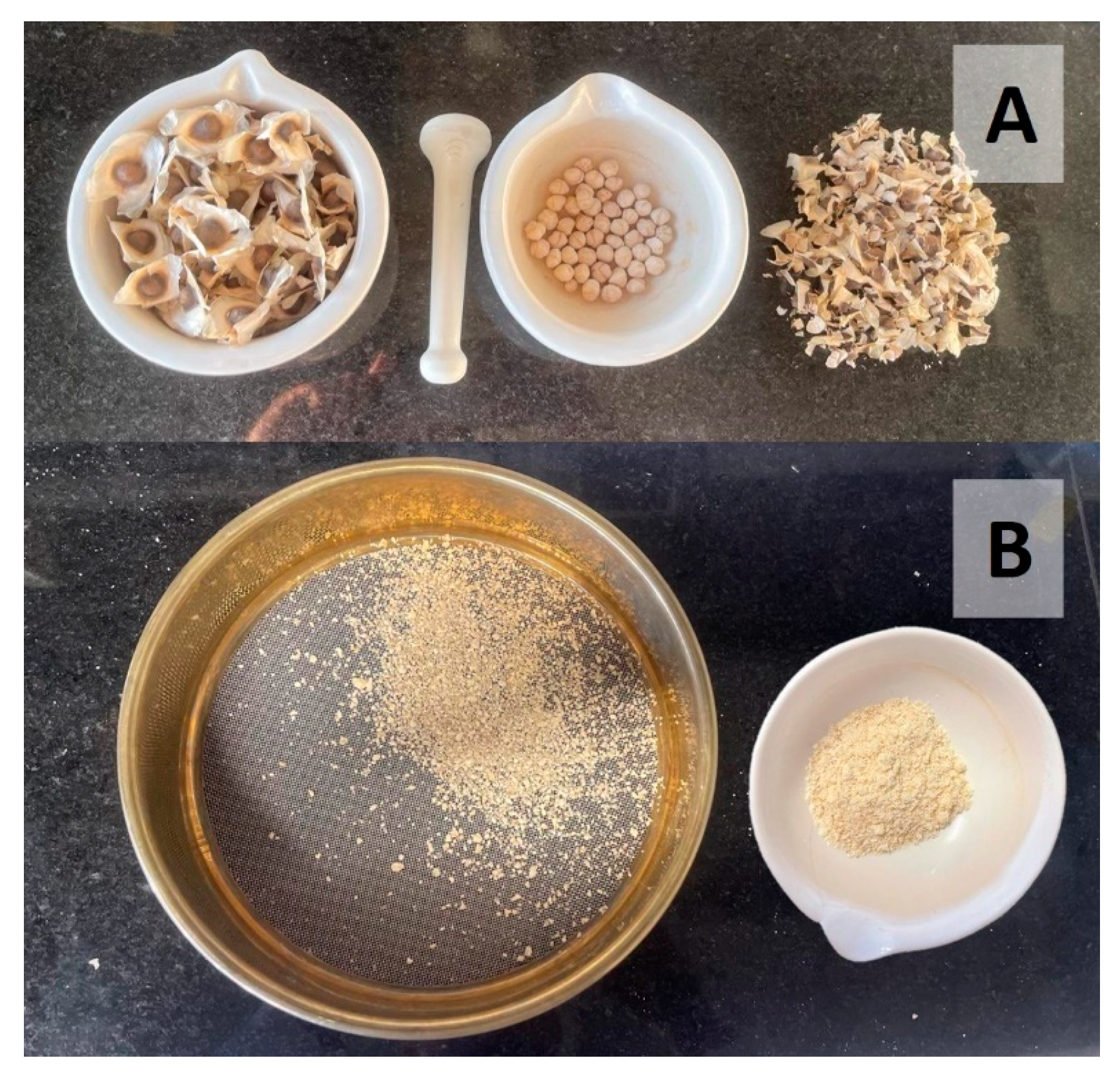 Sustainability 16 09433 g001