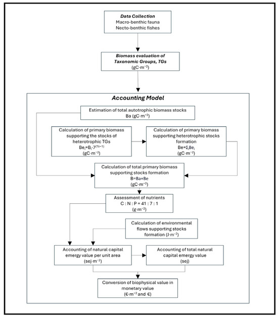 Sustainability 16 09458 g003
