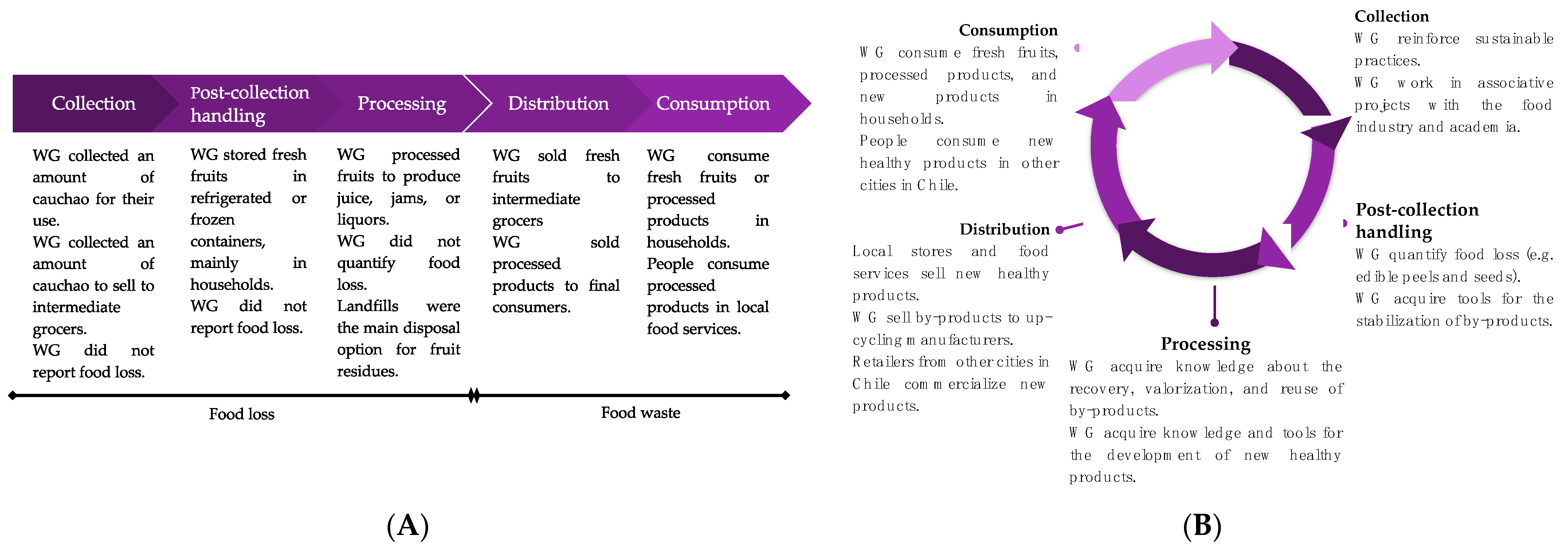 Sustainability 16 09460 g004