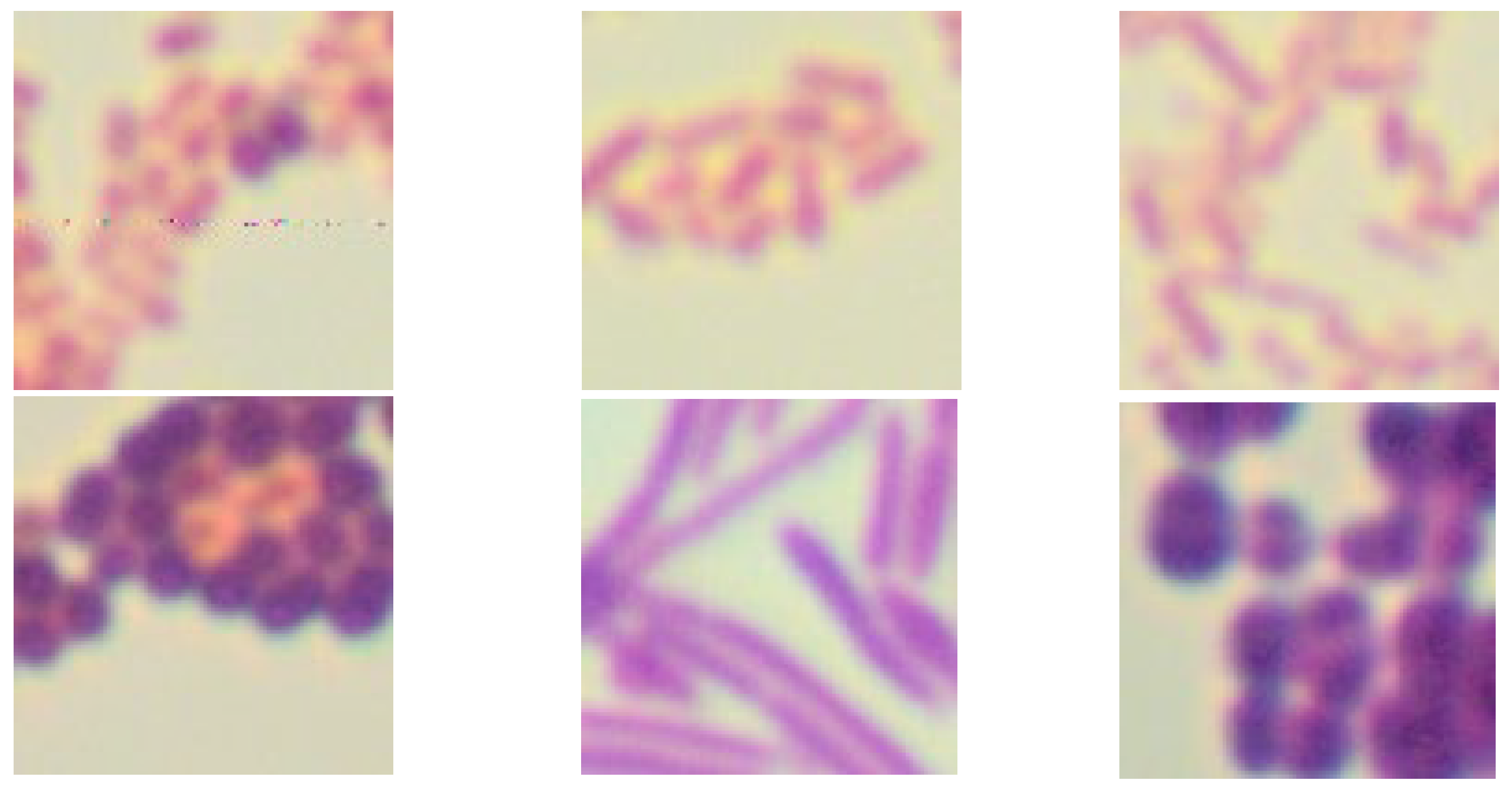 Sustainability 16 09499 g002