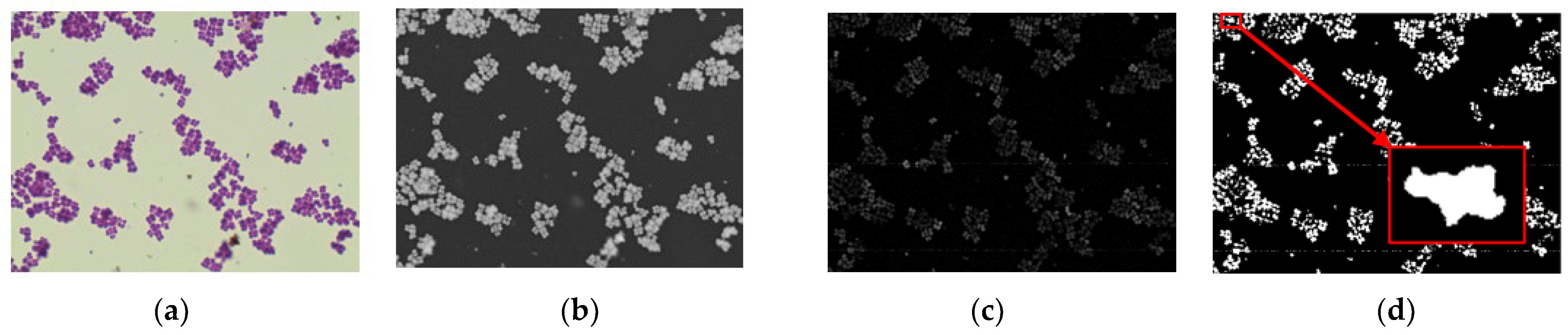 Sustainability 16 09499 g005