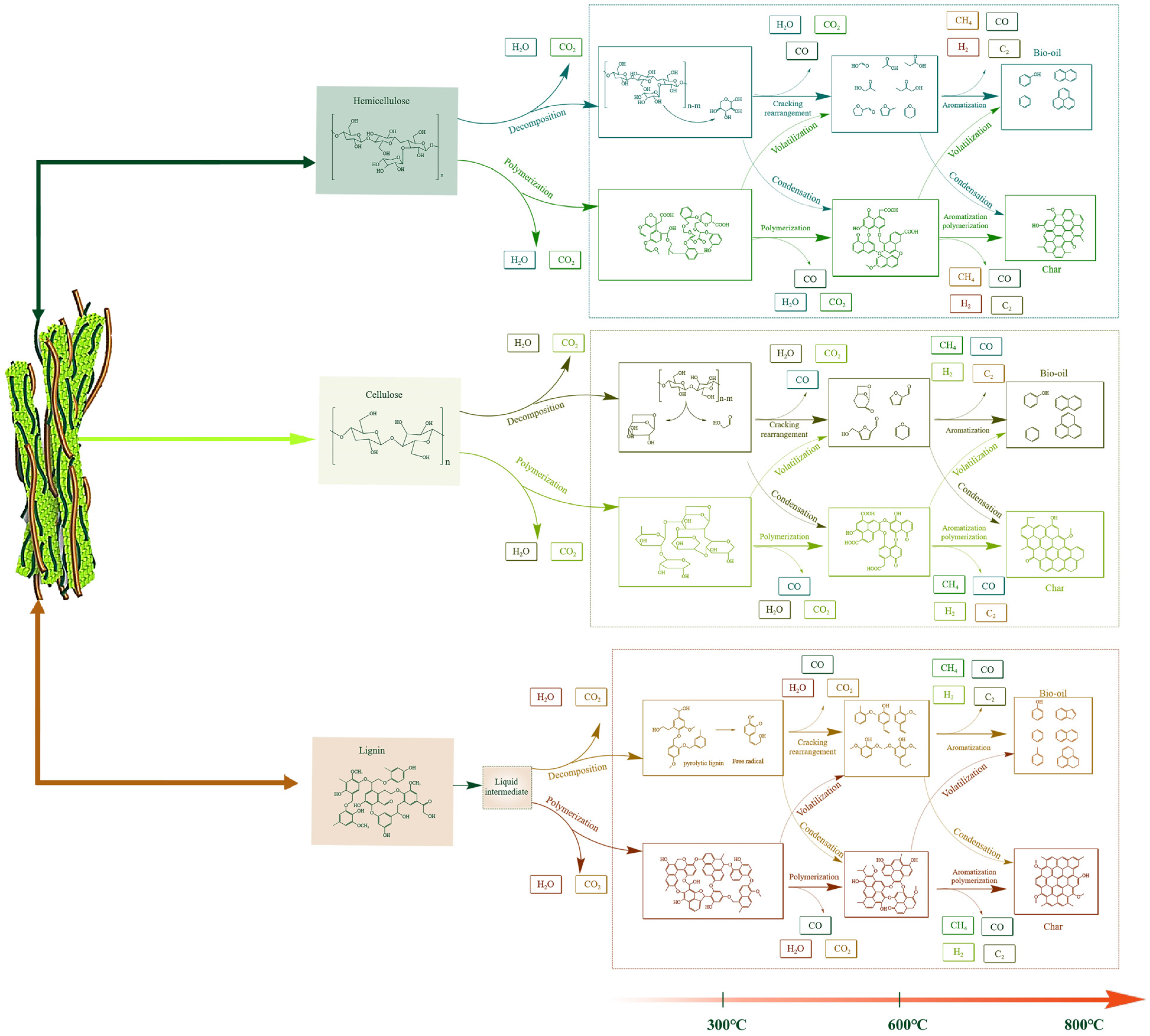Sustainability 16 09506 g003