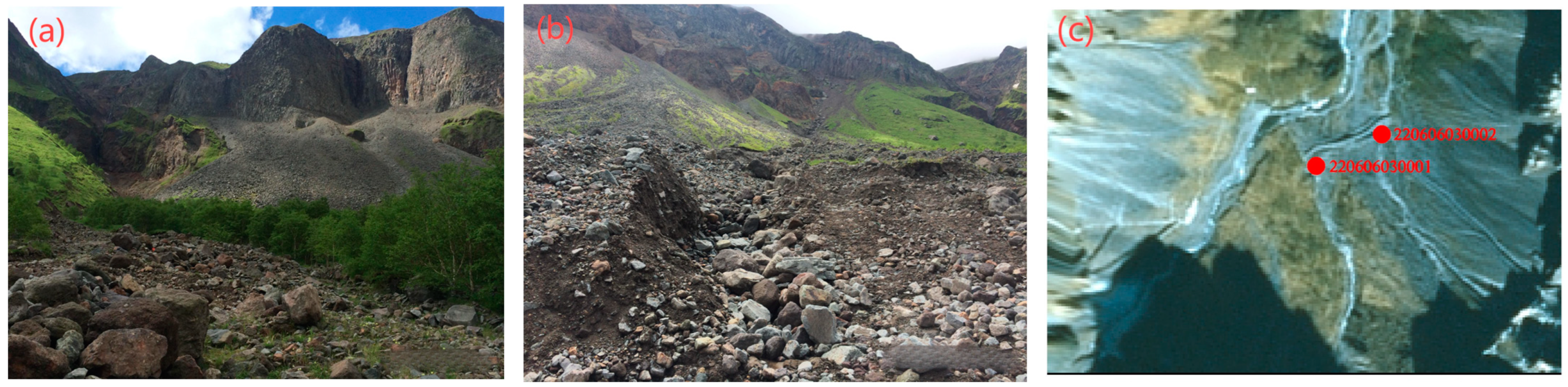 Sustainability 16 09545 g002