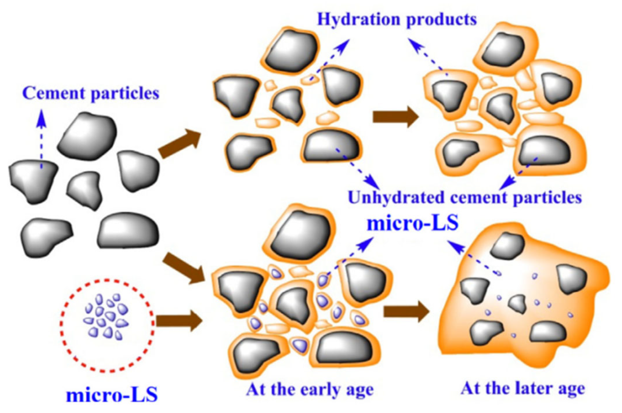 Sustainability 16 09549 g007
