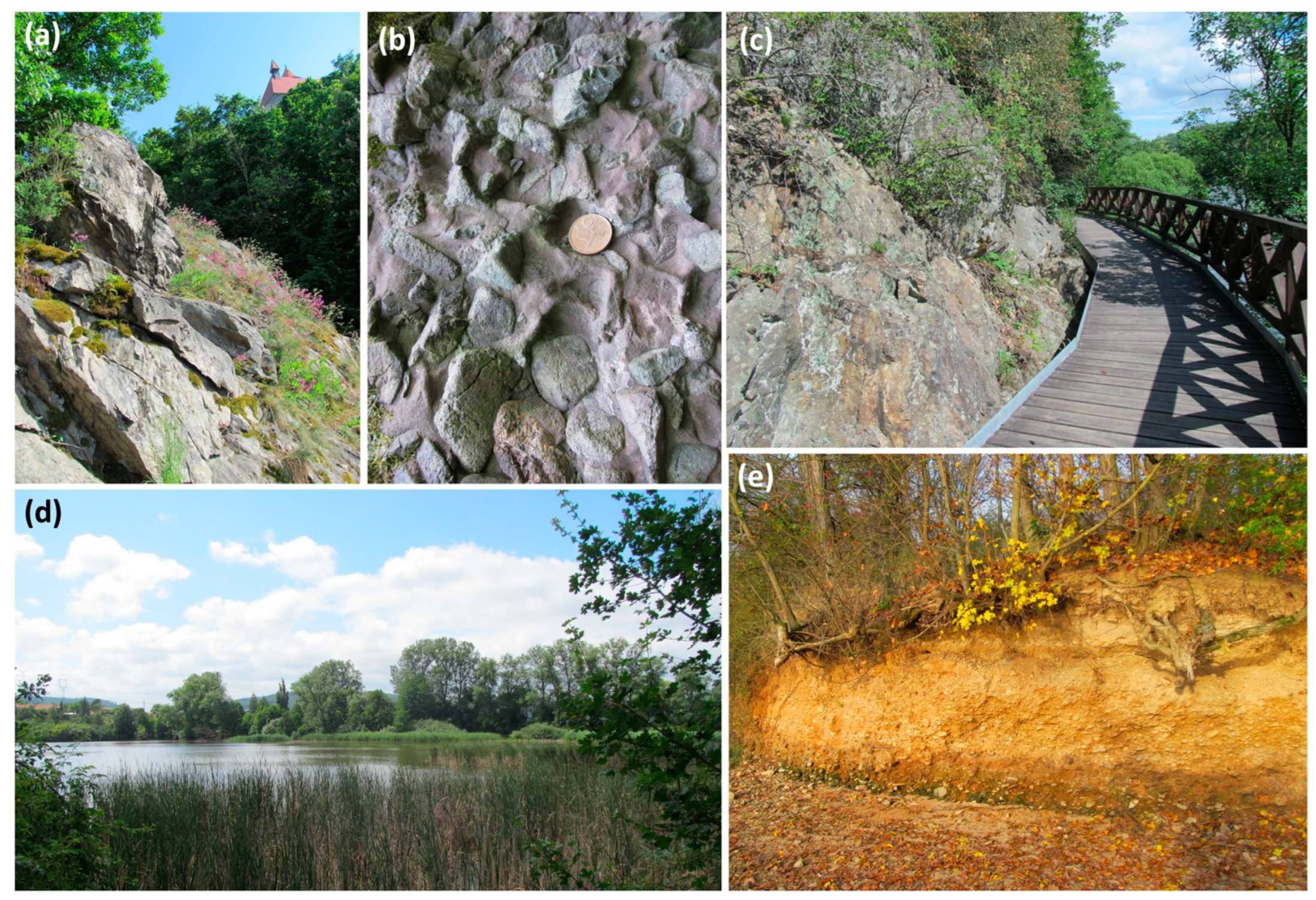 Sustainability 16 09551 g004