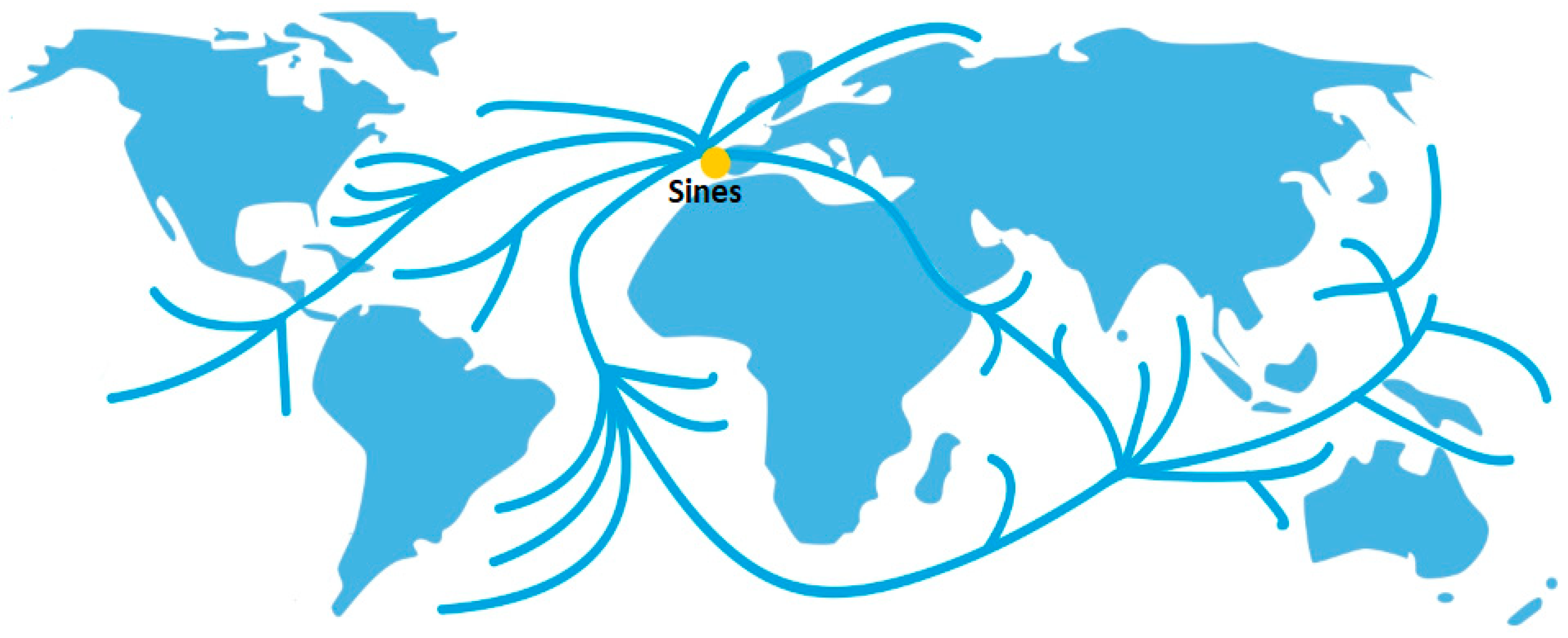 Sustainability 16 09563 g002