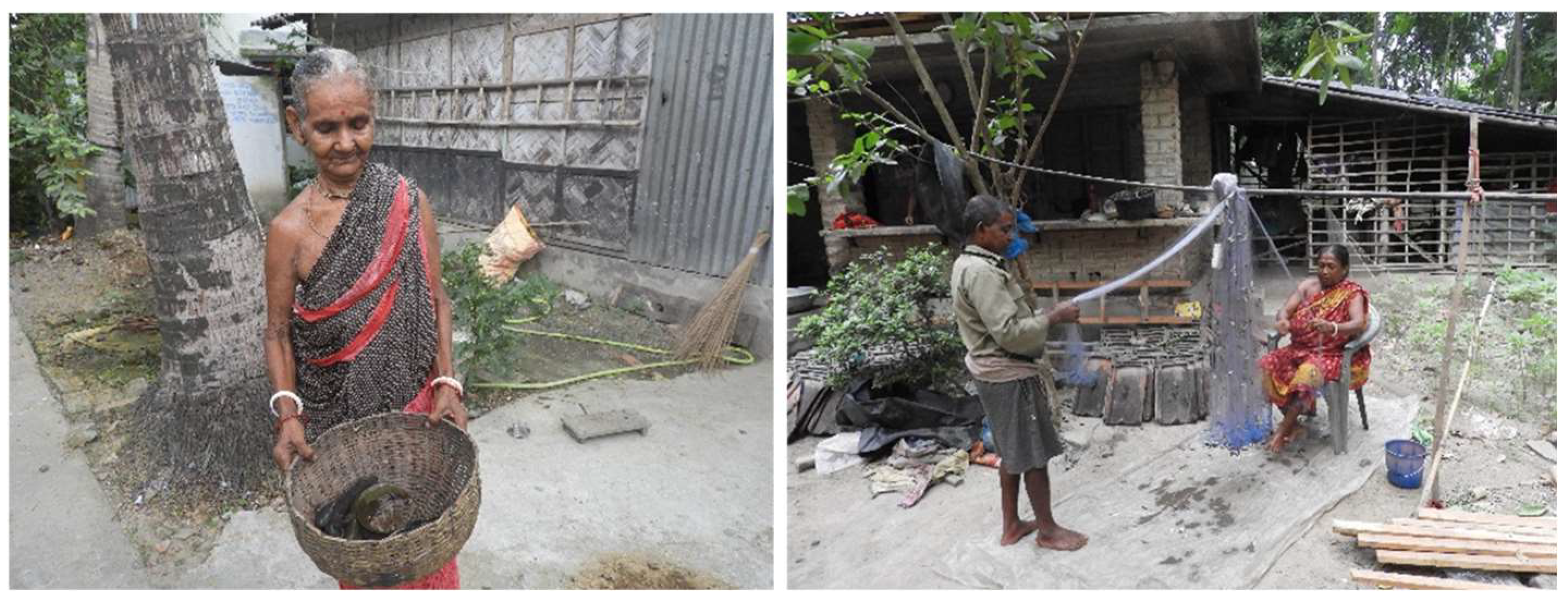 Sustainability 16 09583 g007