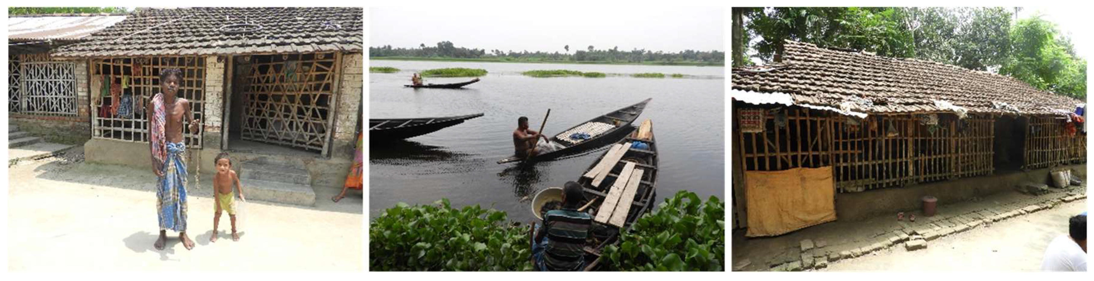 Sustainability 16 09583 g008