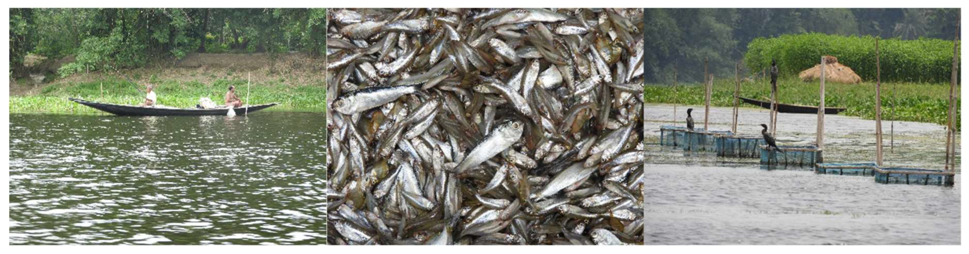 Sustainability 16 09583 g013