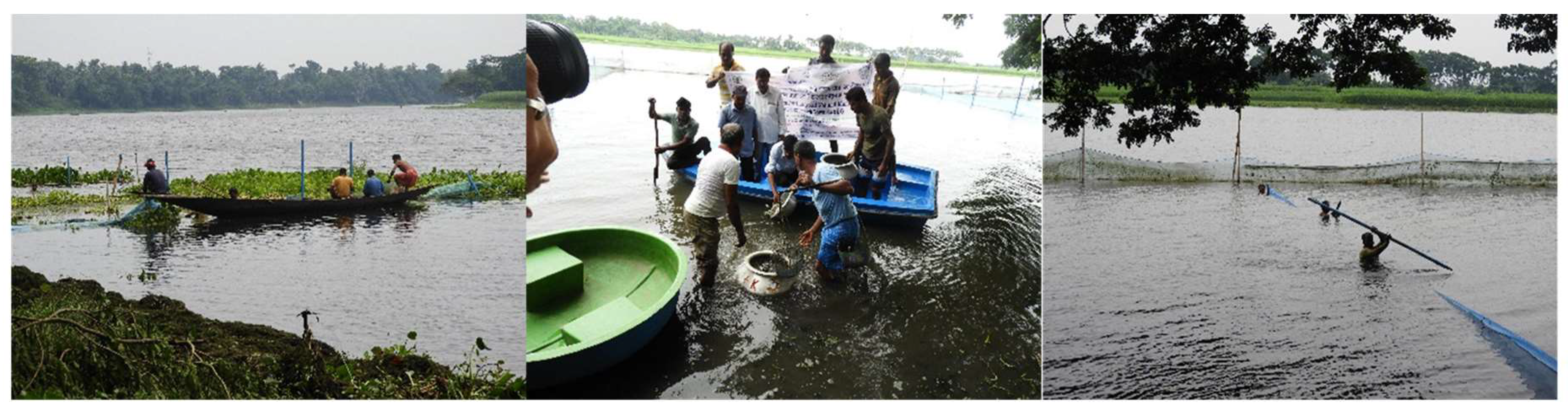 Sustainability 16 09583 g017