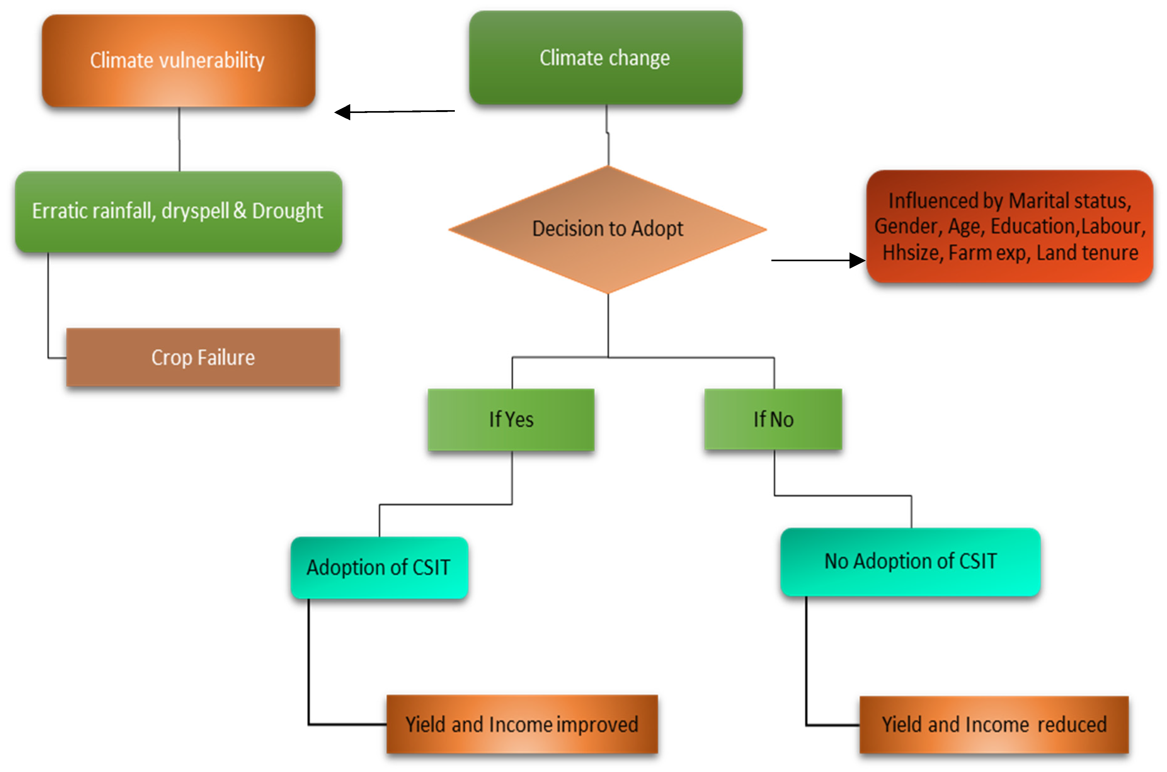 Sustainability 16 09693 g001