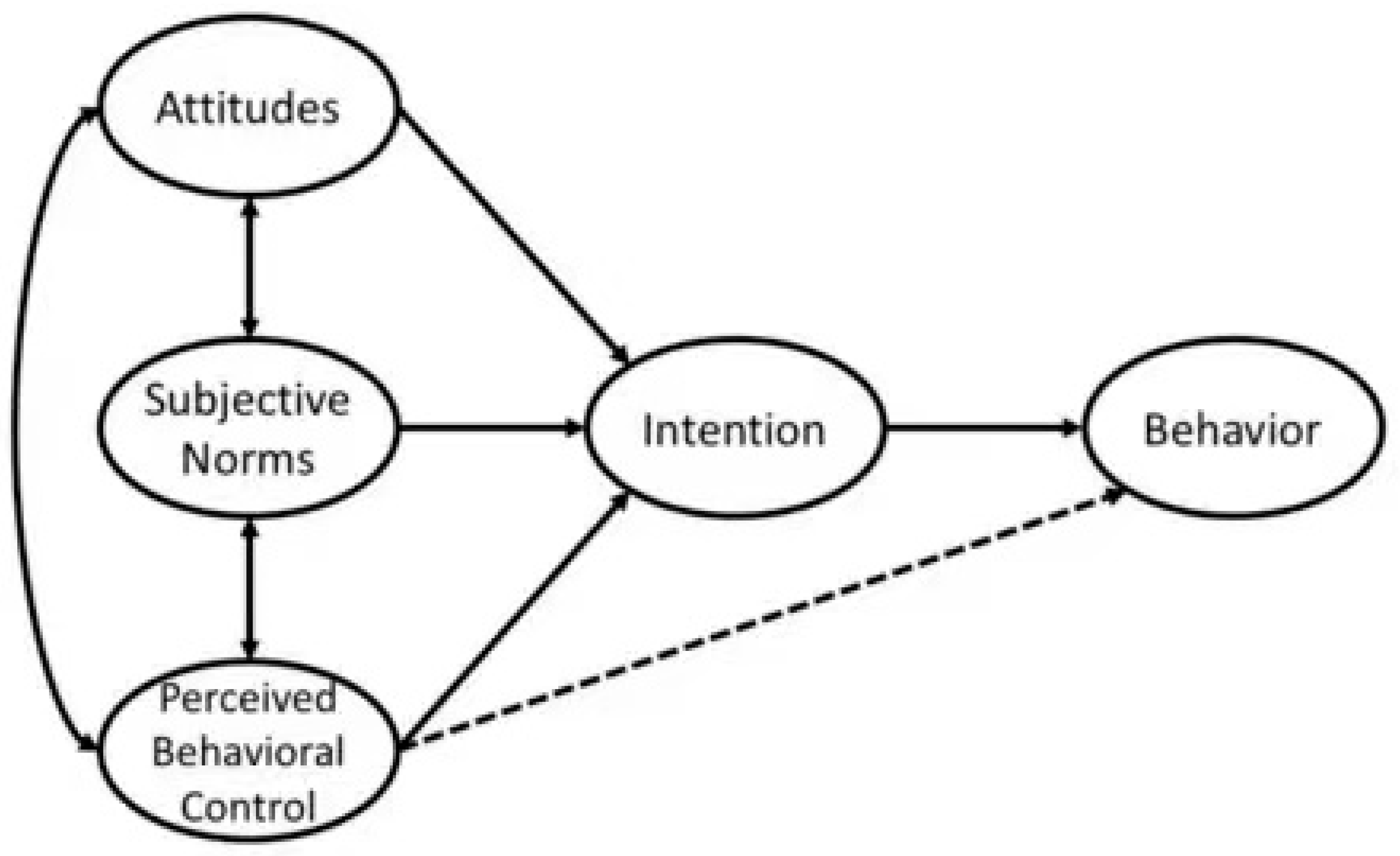Sustainability 16 09694 g001