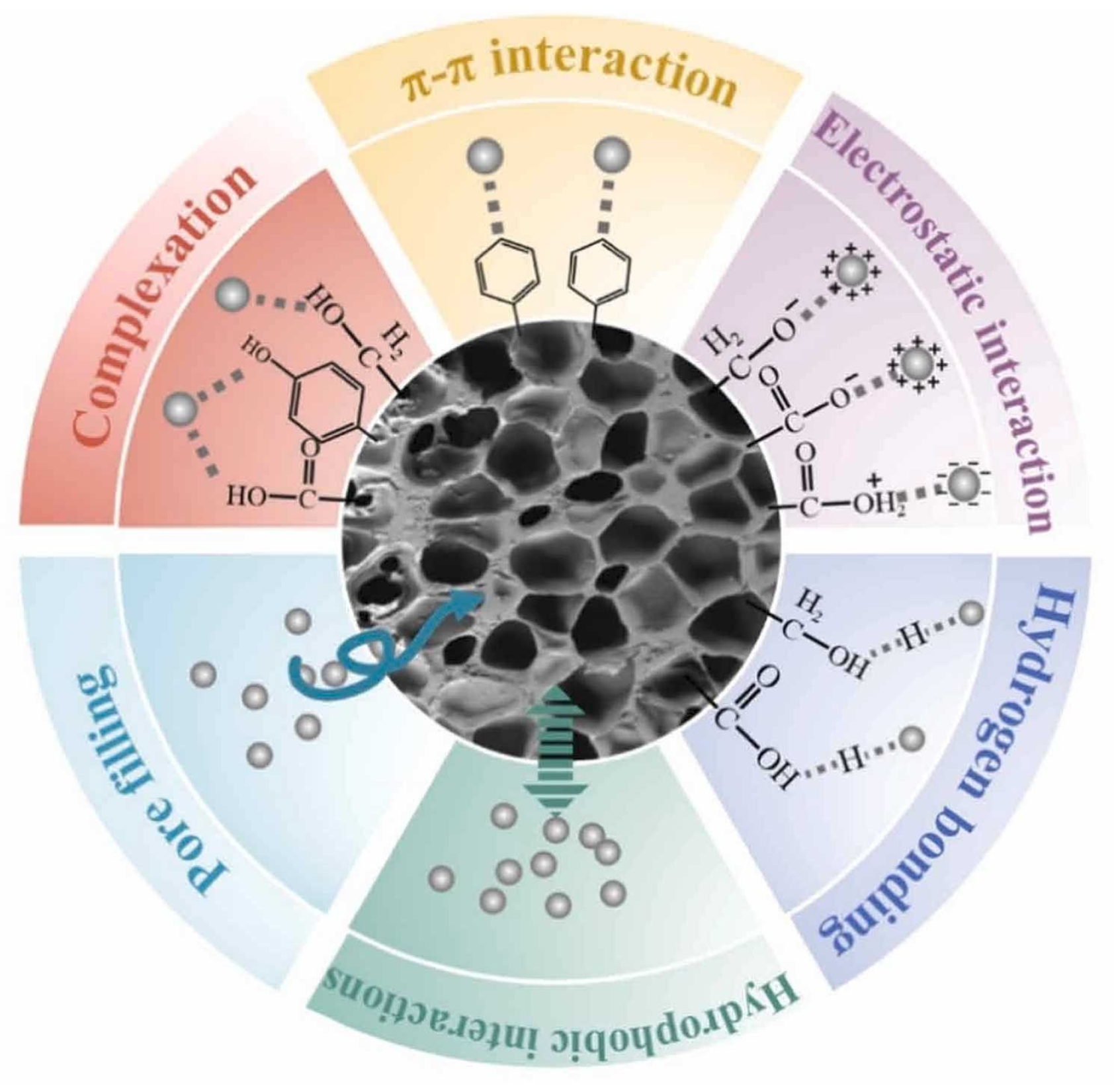 Sustainability 16 09749 g003