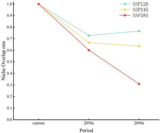 Sustainability 16 09816 g0a3