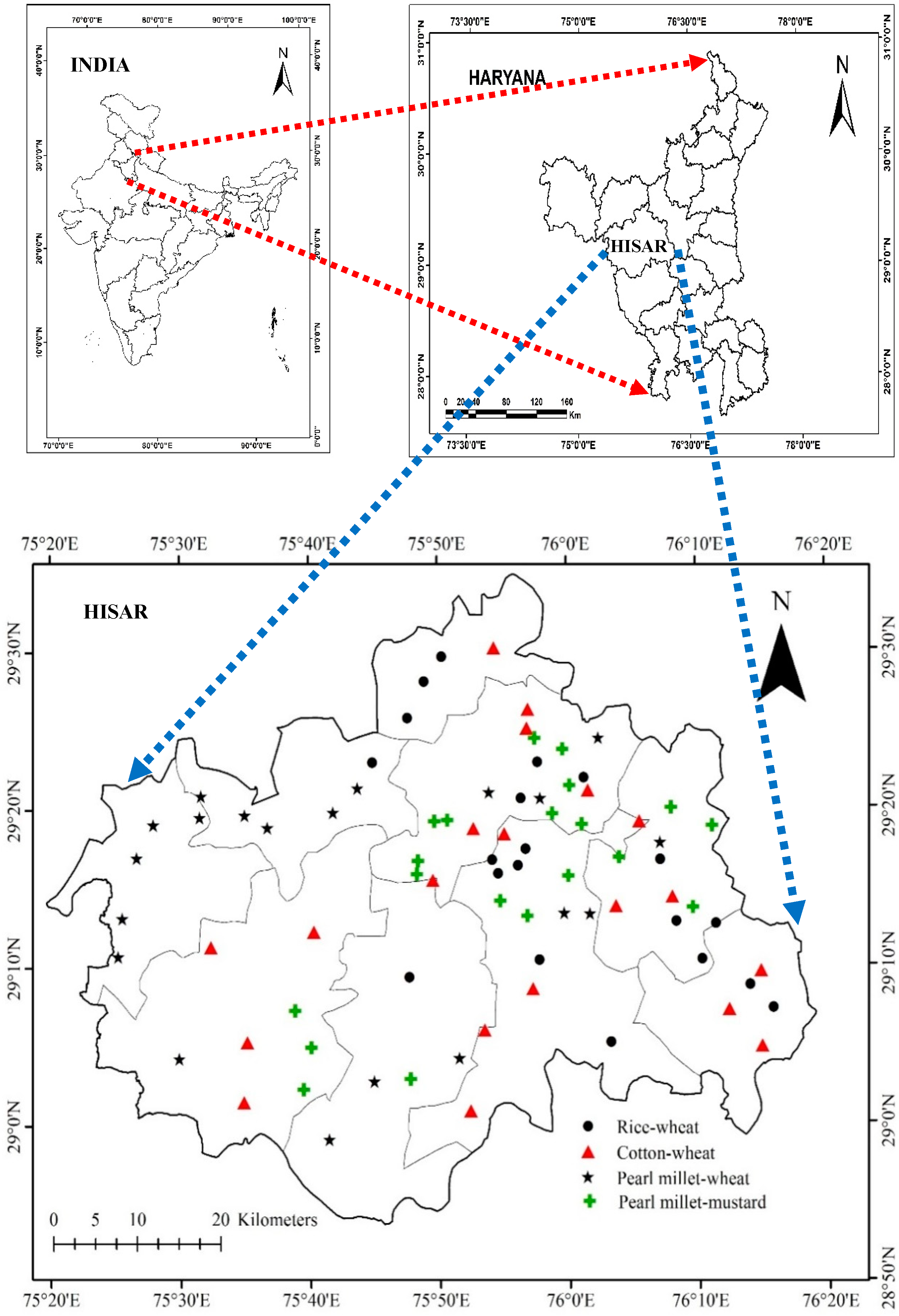 Sustainability 16 09821 g001