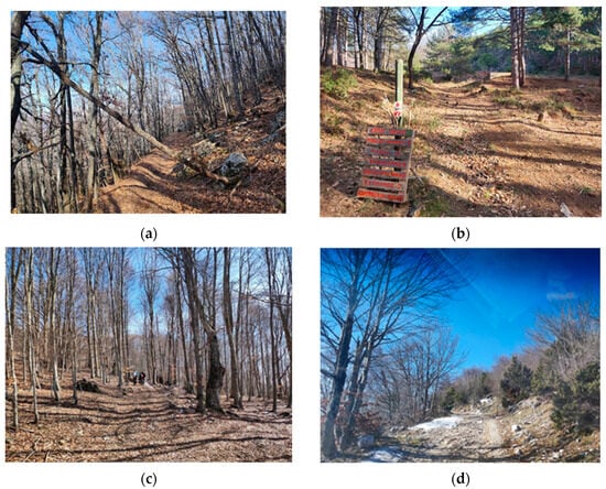 Sustainability 16 09966 g0a1