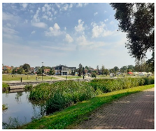 Sustainability 16 10075 i003 Sustainability 16 10075 i003