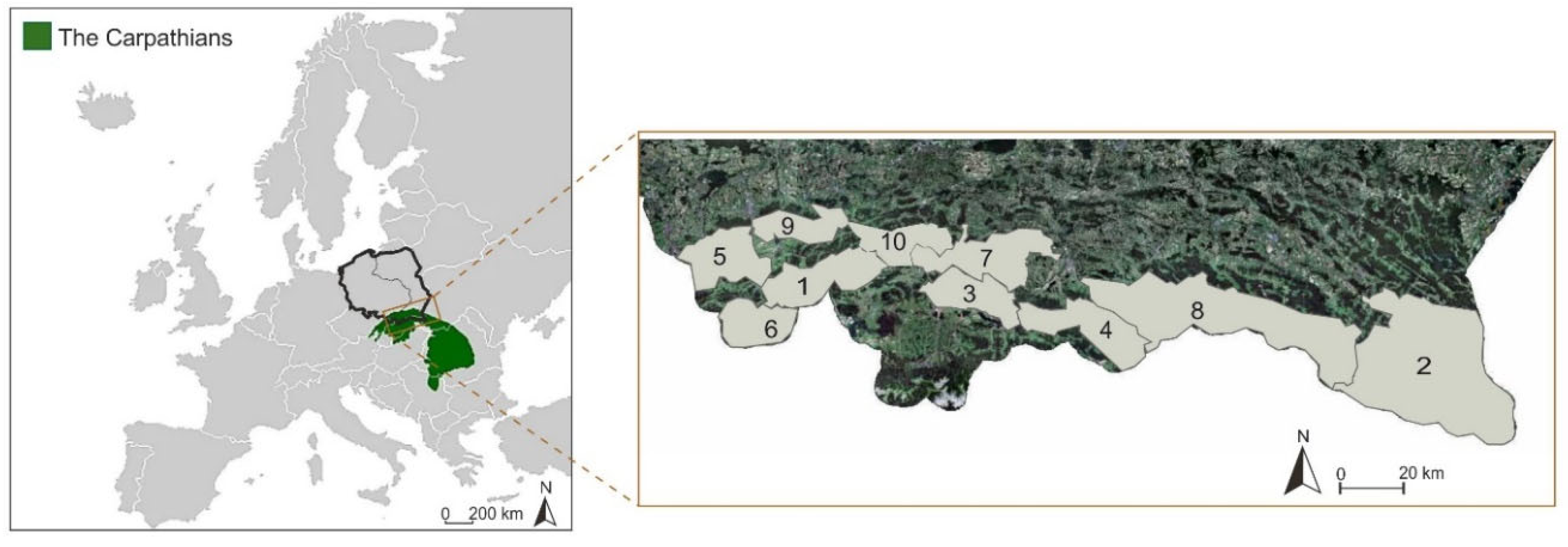 Sustainability 16 10133 g001 Sustainability 16 10133 g001