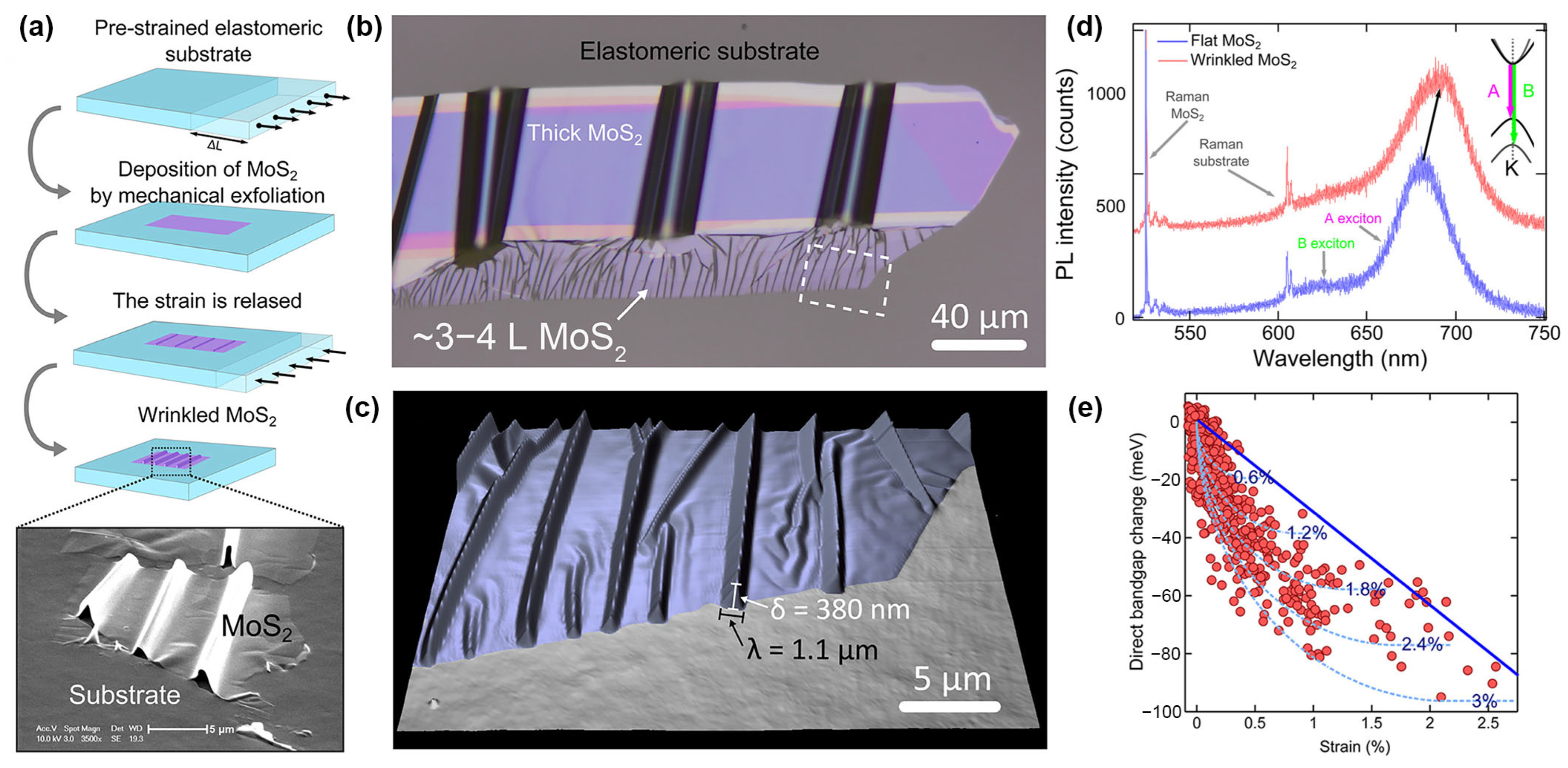 Sustainability 16 10137 g006