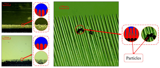 Sustainability 16 10138 g023
