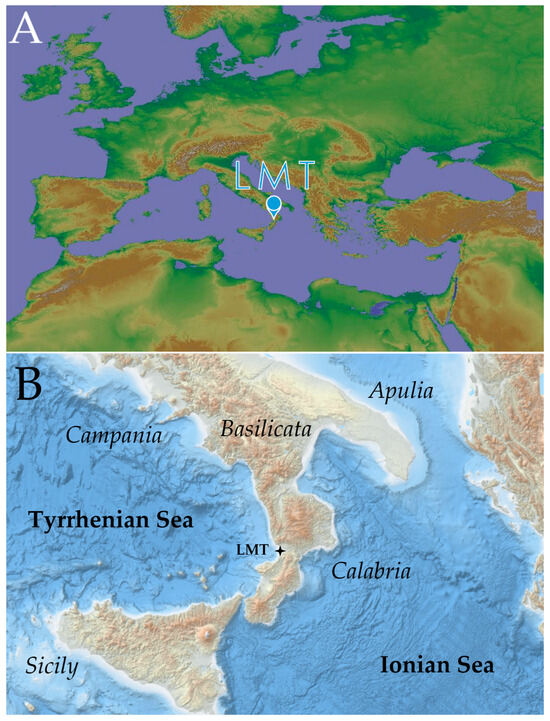 Sustainability 16 10175 g001a