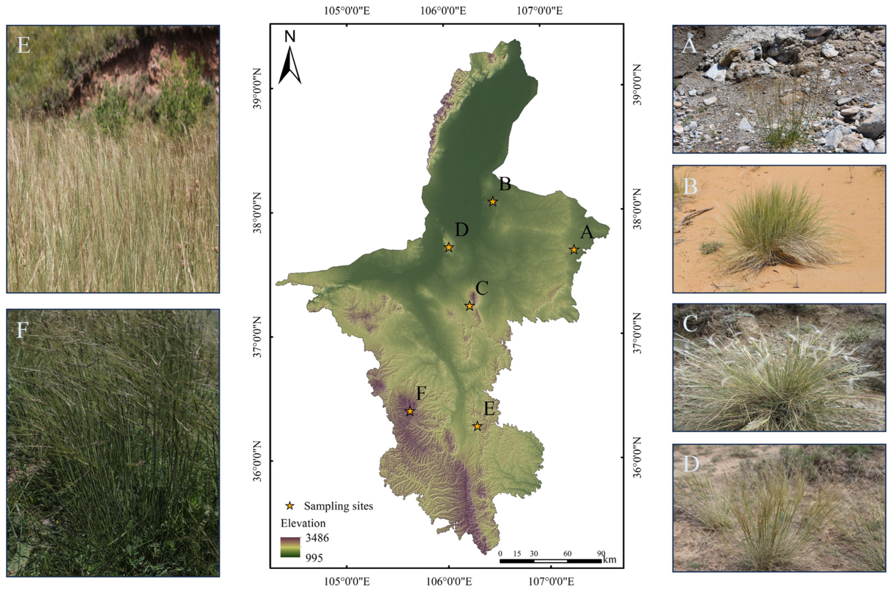 Sustainability 16 10273 g001