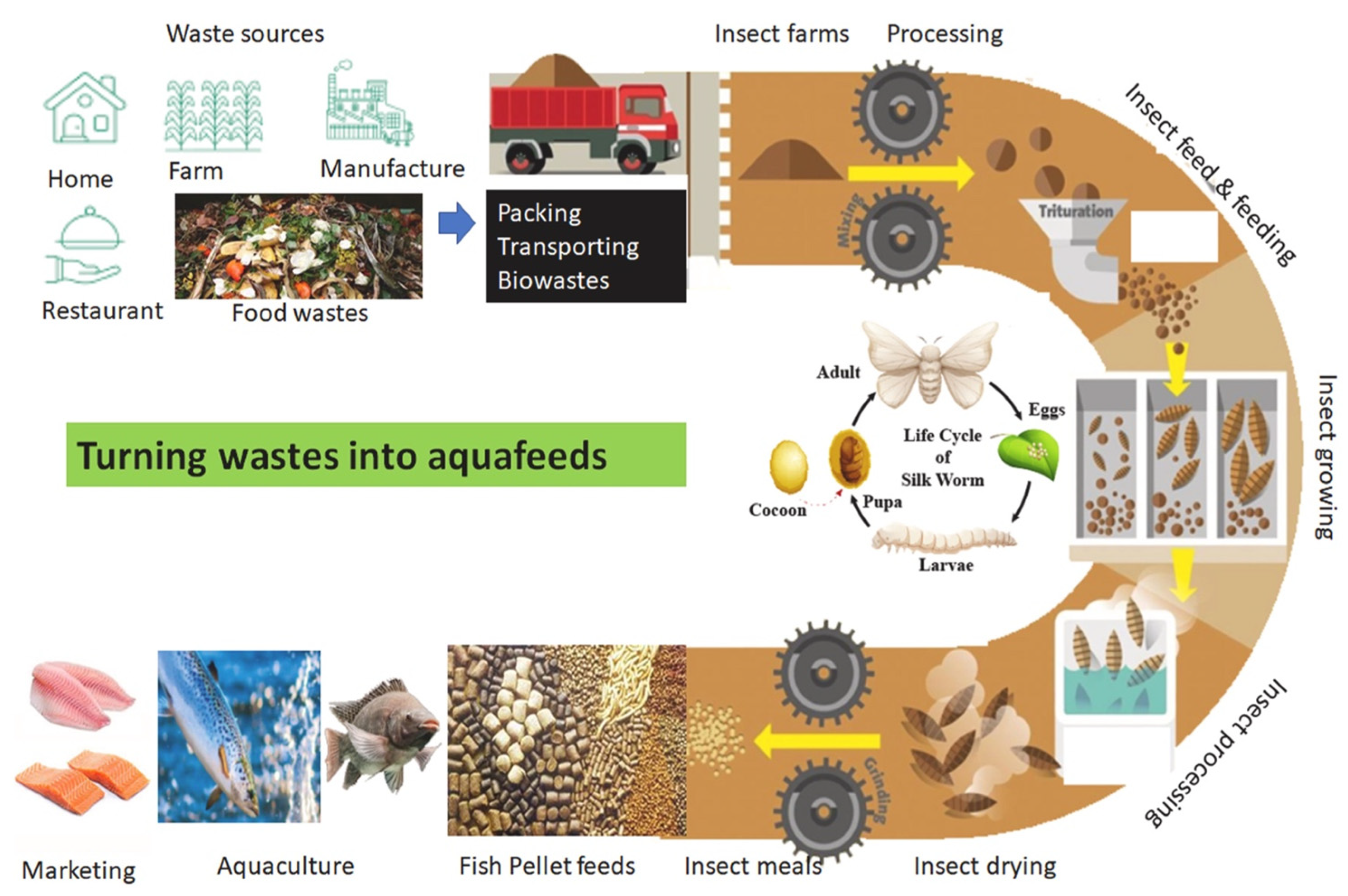 Sustainability 16 10323 g001