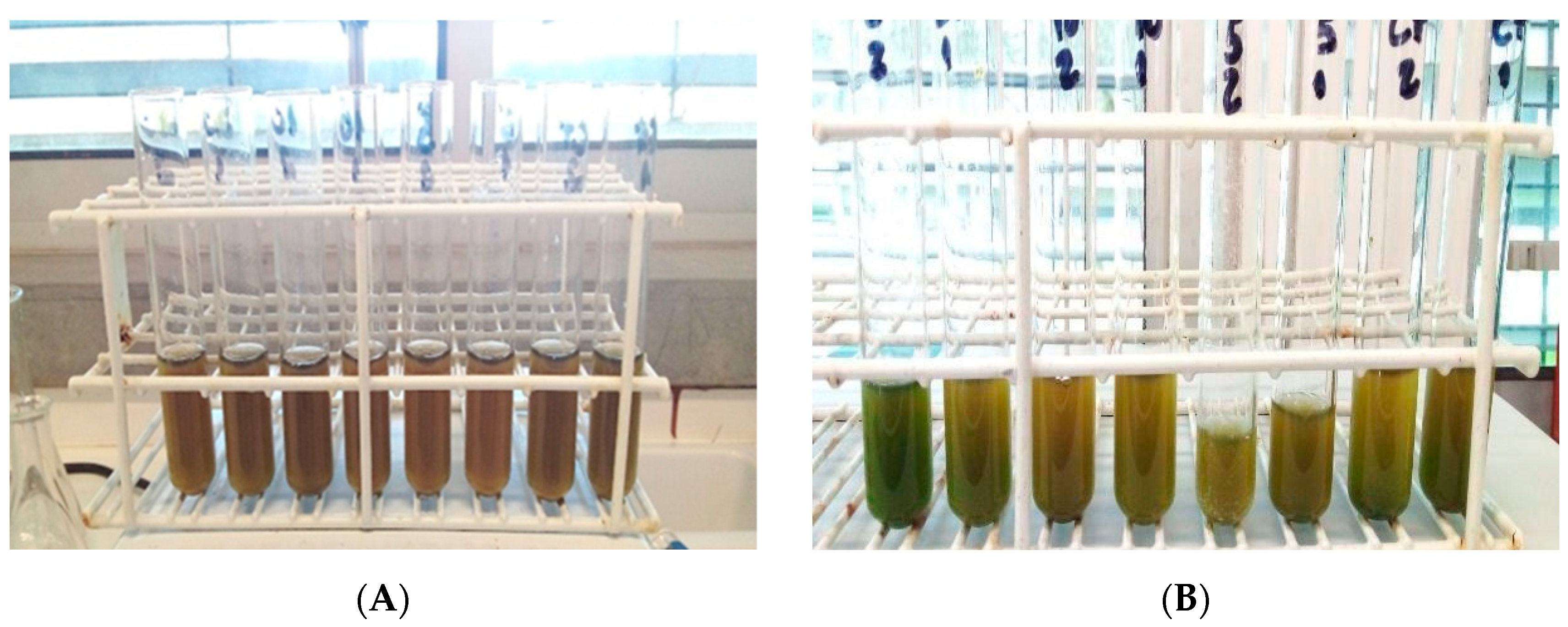 Sustainability 16 10328 g004