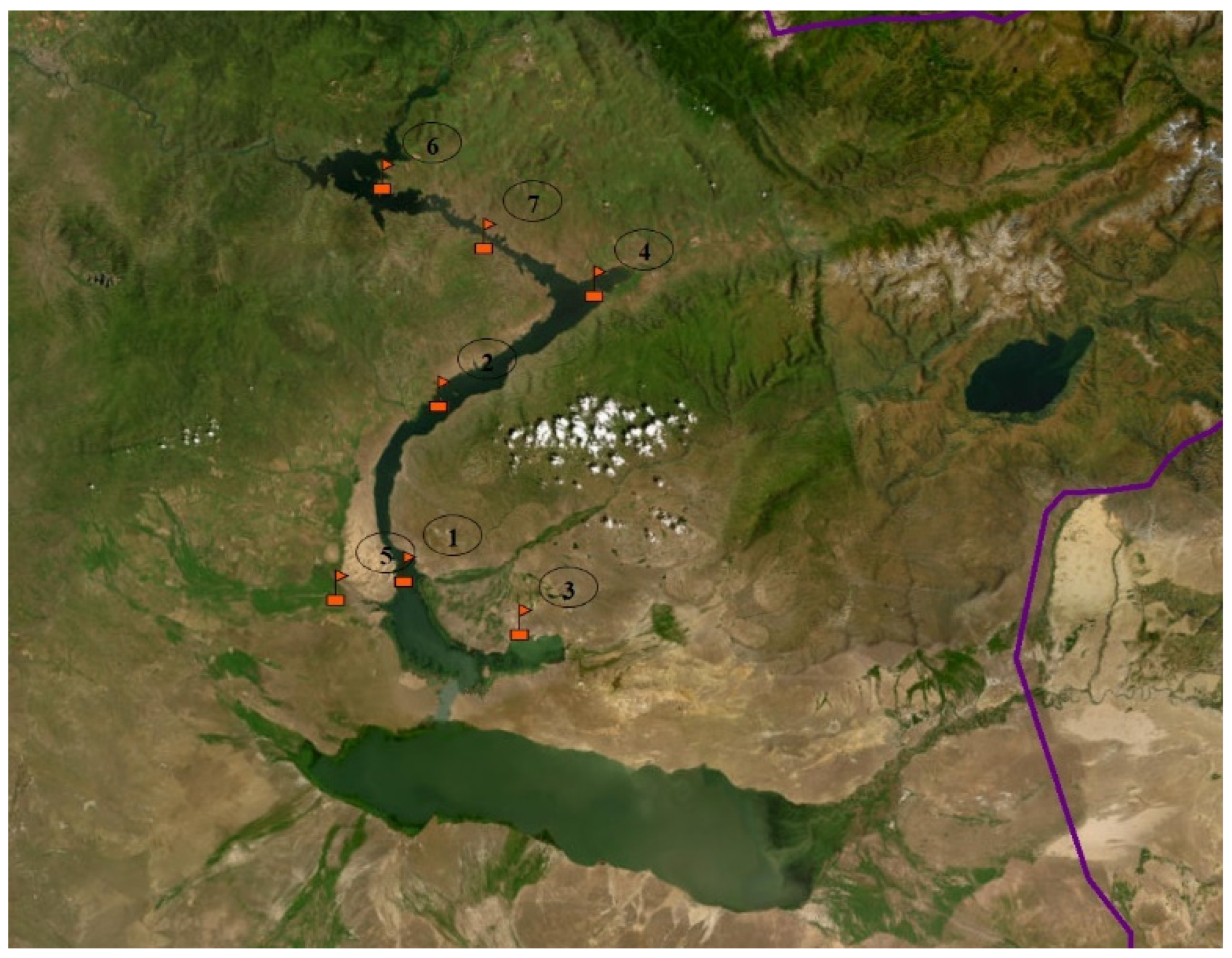 Sustainability 16 10348 g001