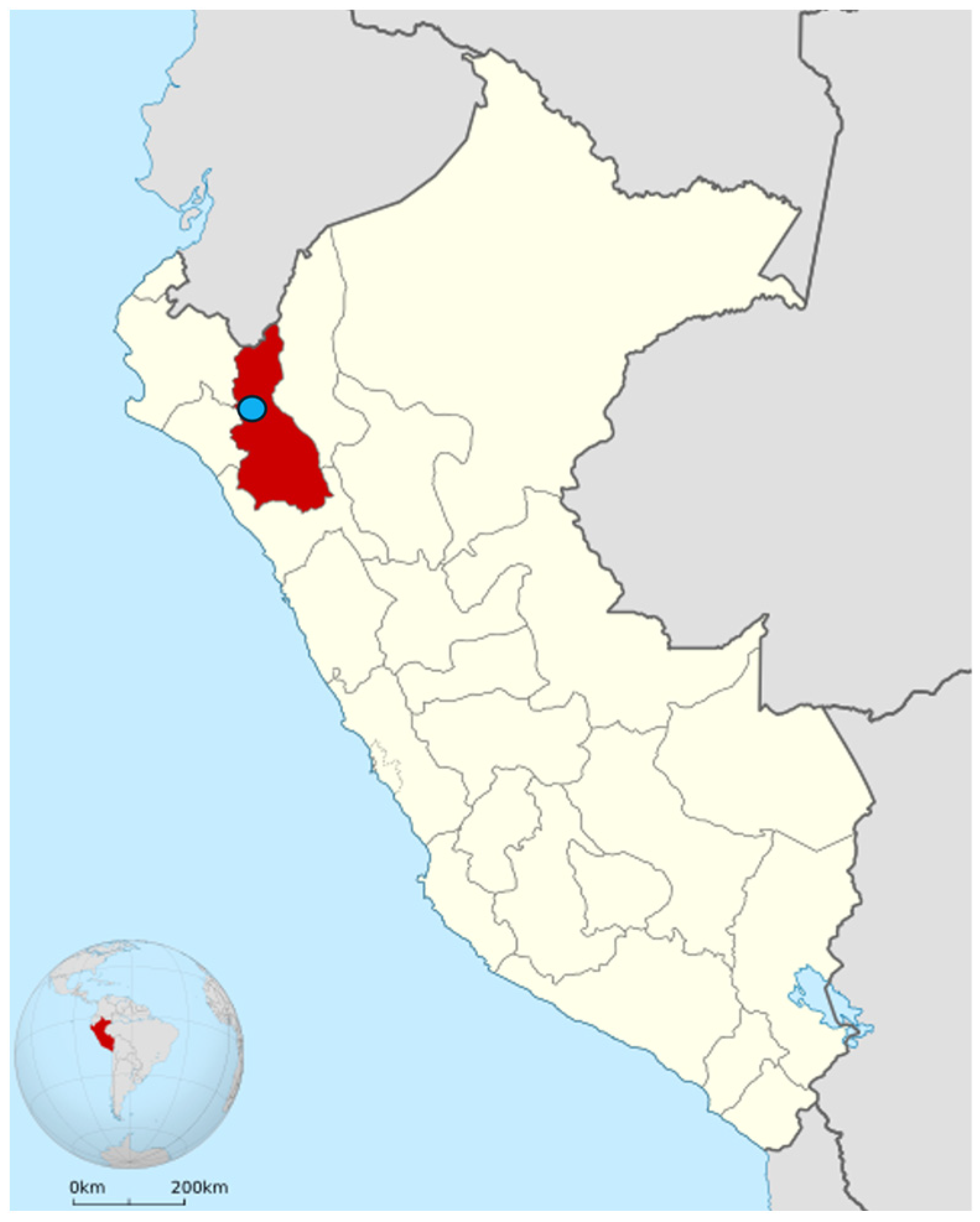 Sustainability 16 10363 g001