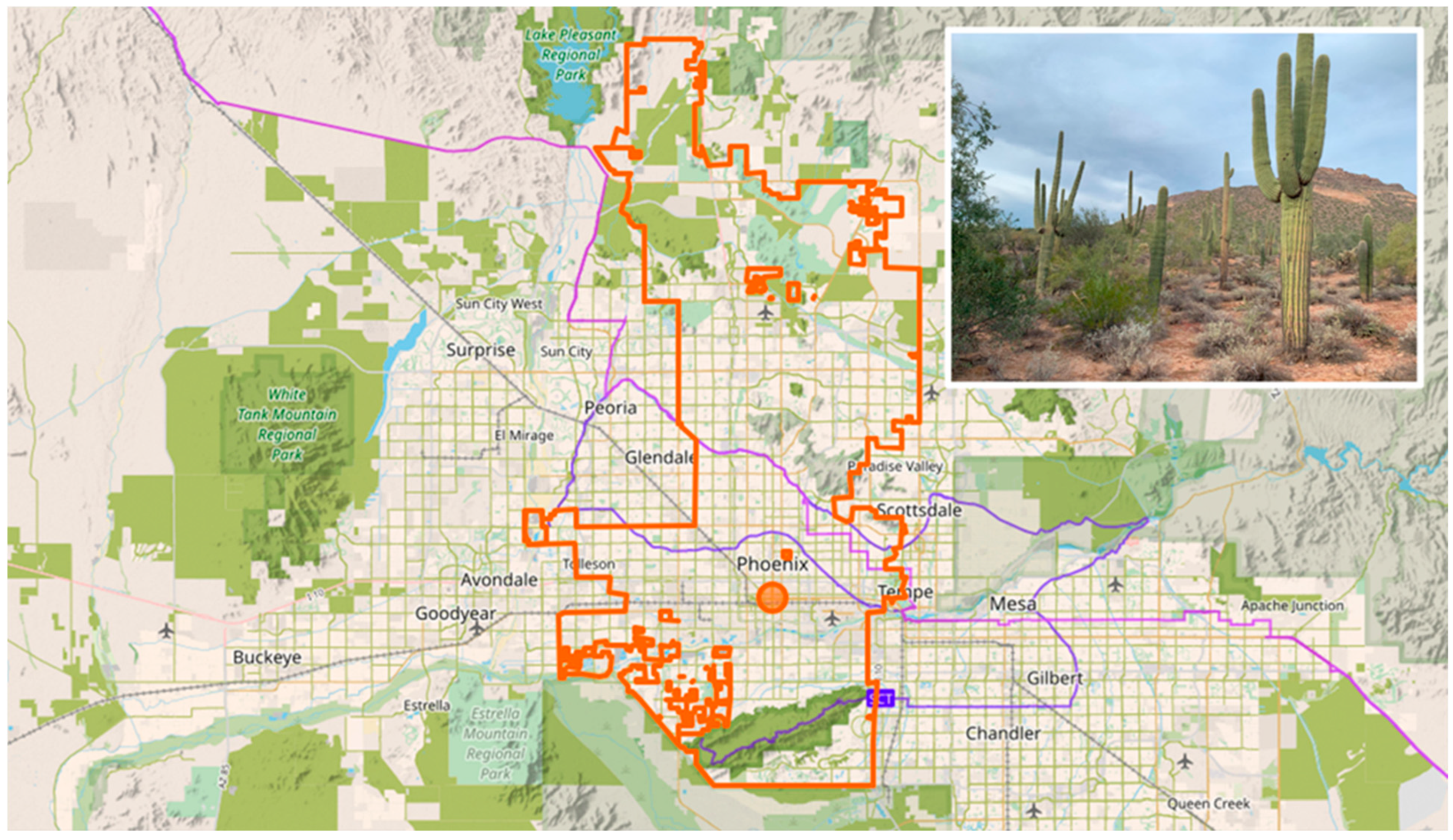 Sustainability 16 10429 g005