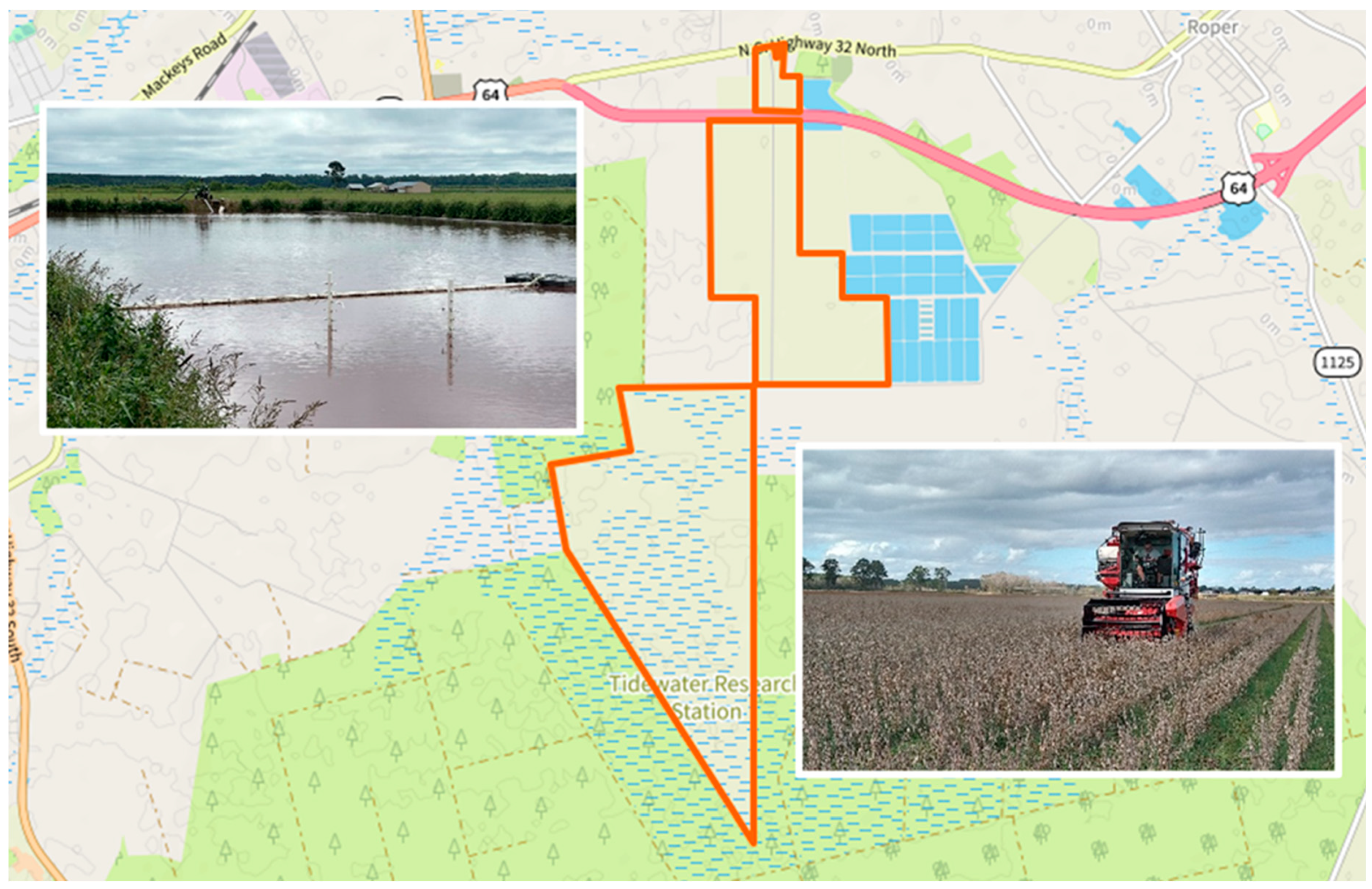 Sustainability 16 10429 g006