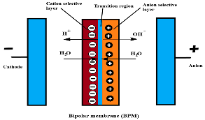 Sustainability 16 10458 i002