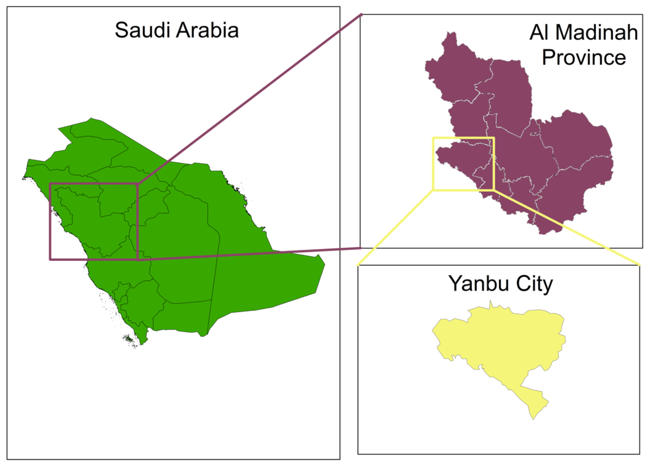 Sustainability 16 10487 g001