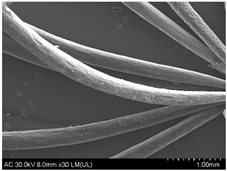 Sustainability 16 10556 i011