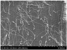 Sustainability 16 10556 i017