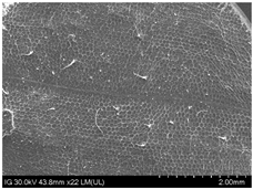 Sustainability 16 10556 i020