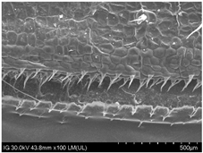 Sustainability 16 10556 i021