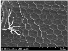 Sustainability 16 10556 i024