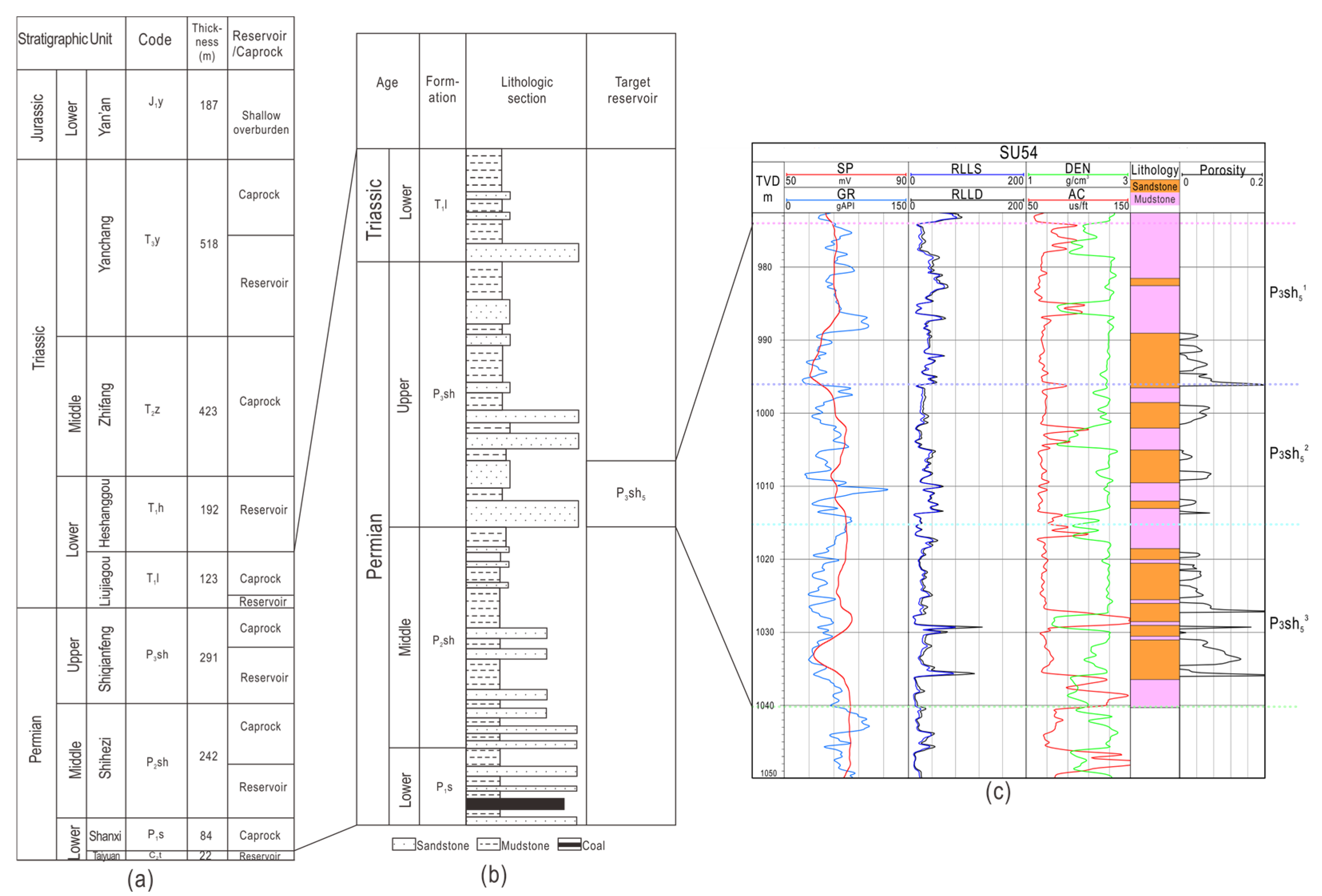 Sustainability 16 10593 g002