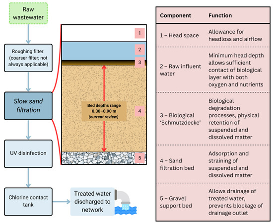 Sustainability 16 10595 g001