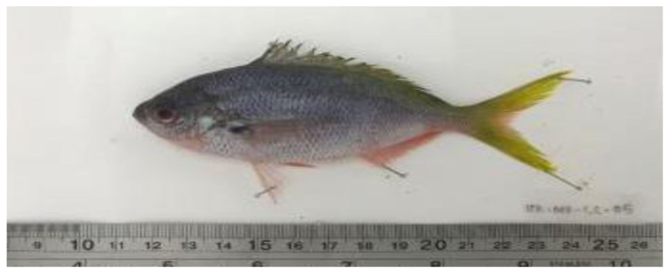 Sustainability 16 10682 g001 Sustainability 16 10682 g001