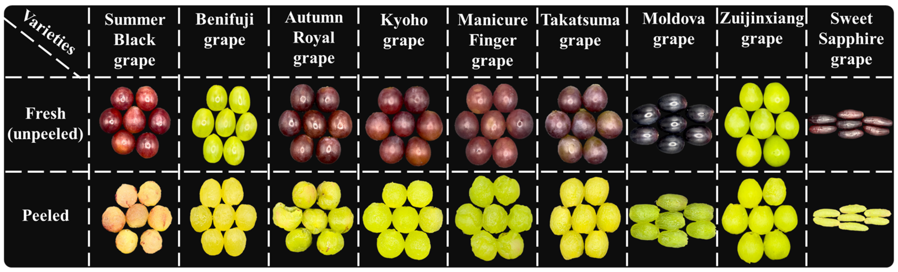 Sustainability 16 10689 g001