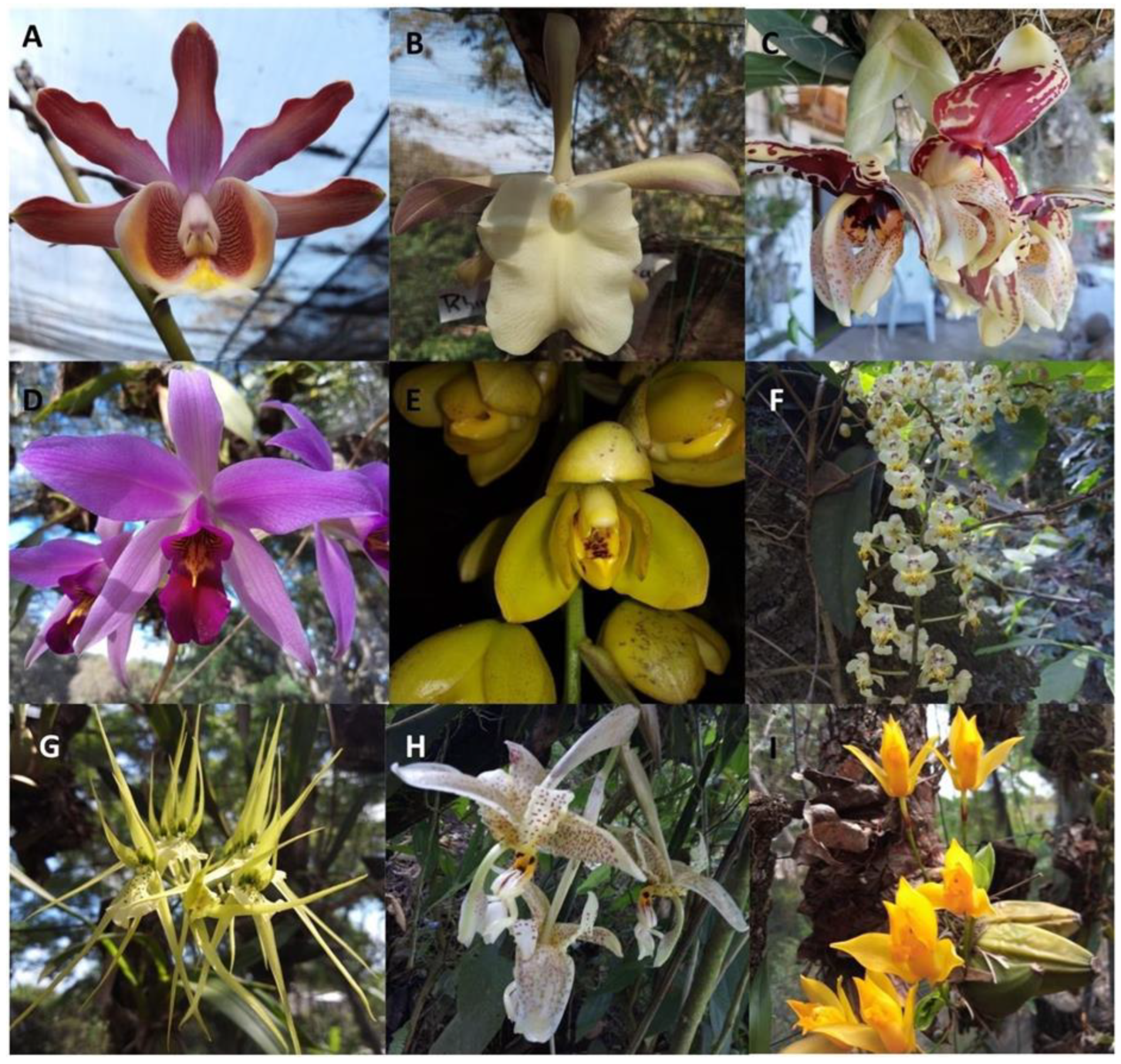 Sustainability 16 10695 g001