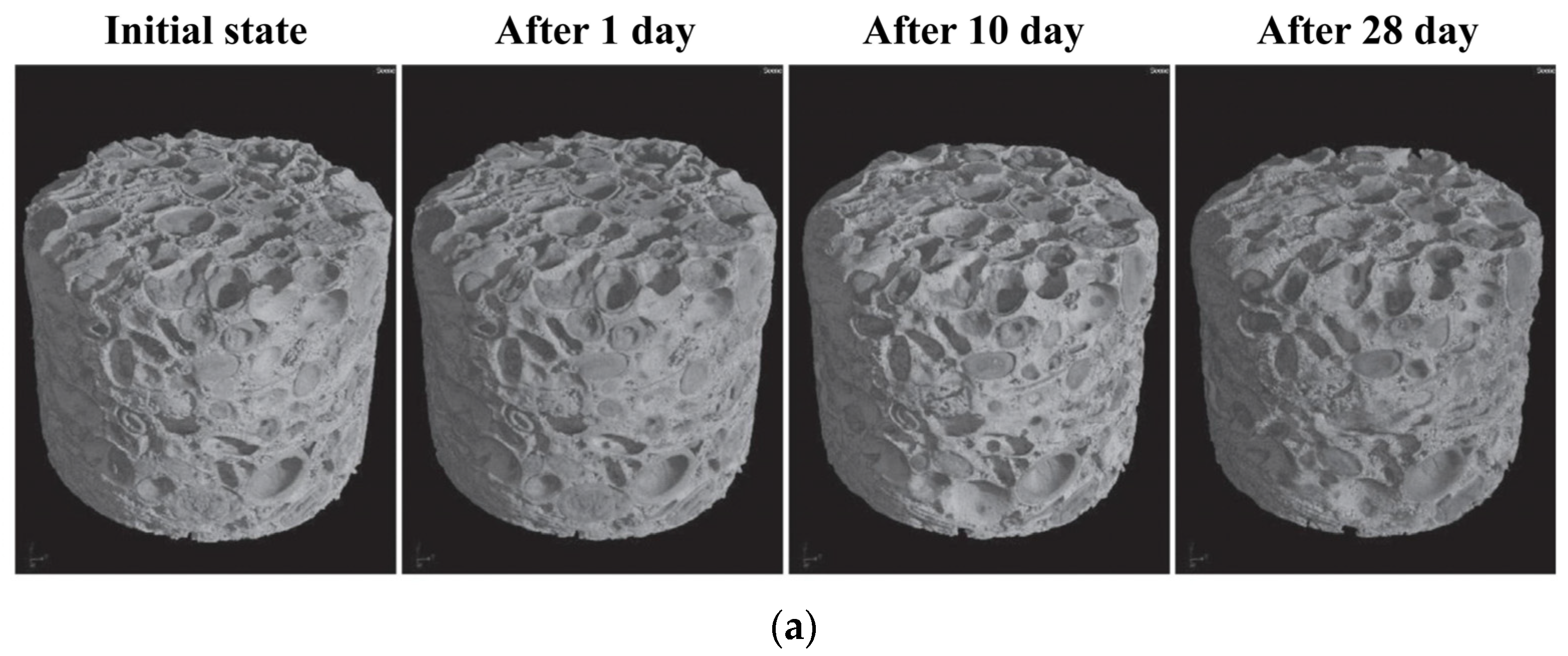Sustainability 16 10751 g003a
