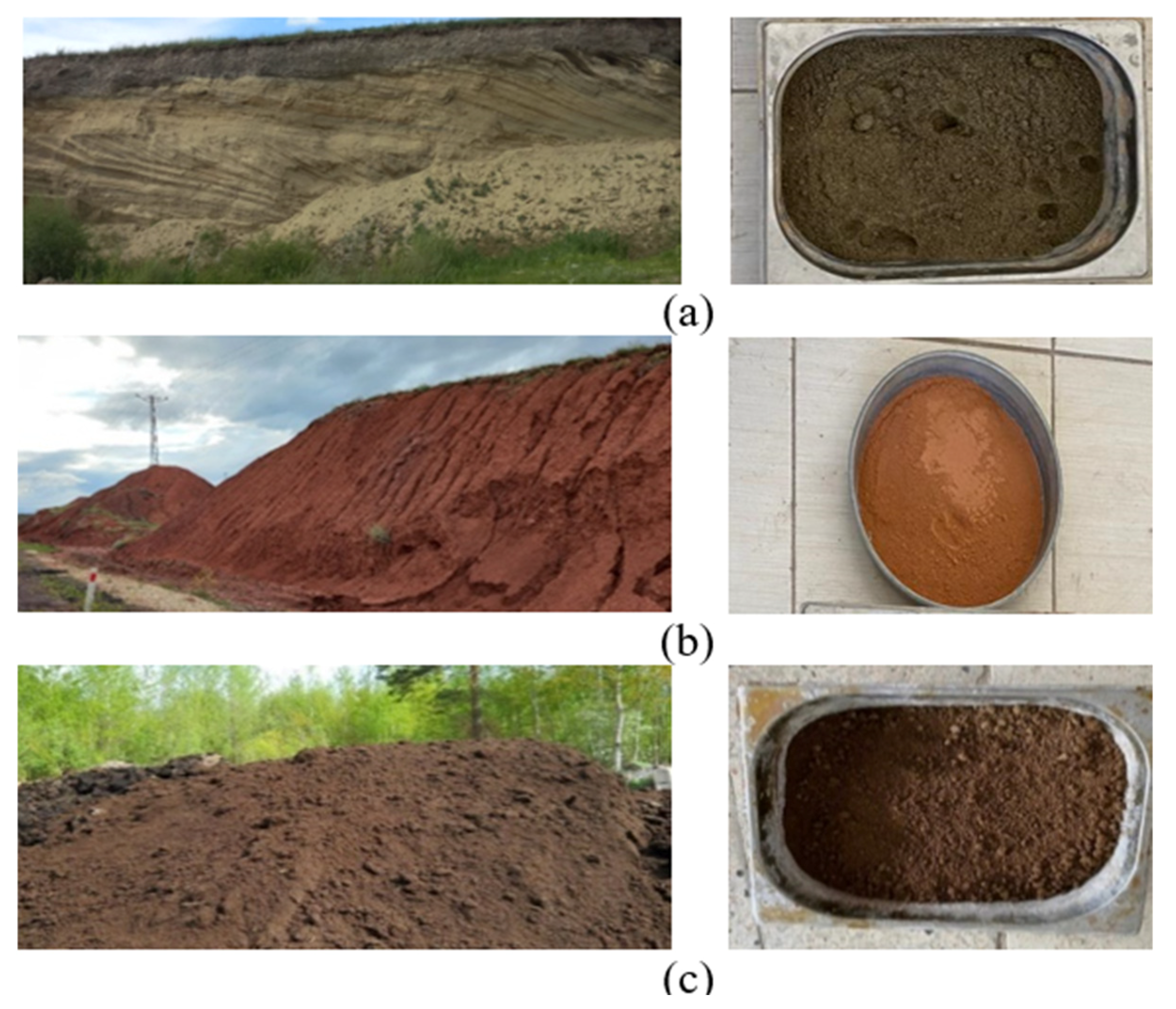 Sustainability 16 10784 g001 Sustainability 16 10784 g001