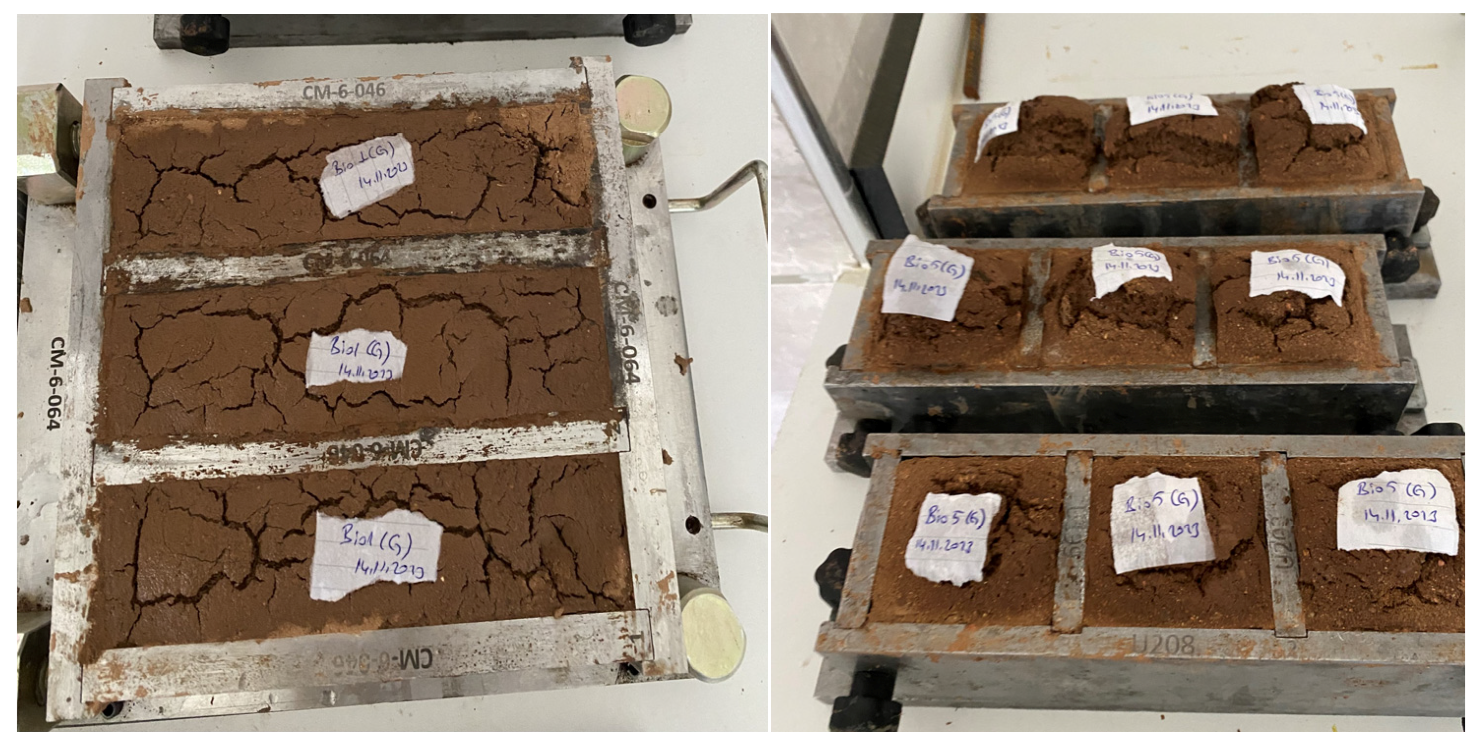 Sustainability 16 10784 g004 Sustainability 16 10784 g004