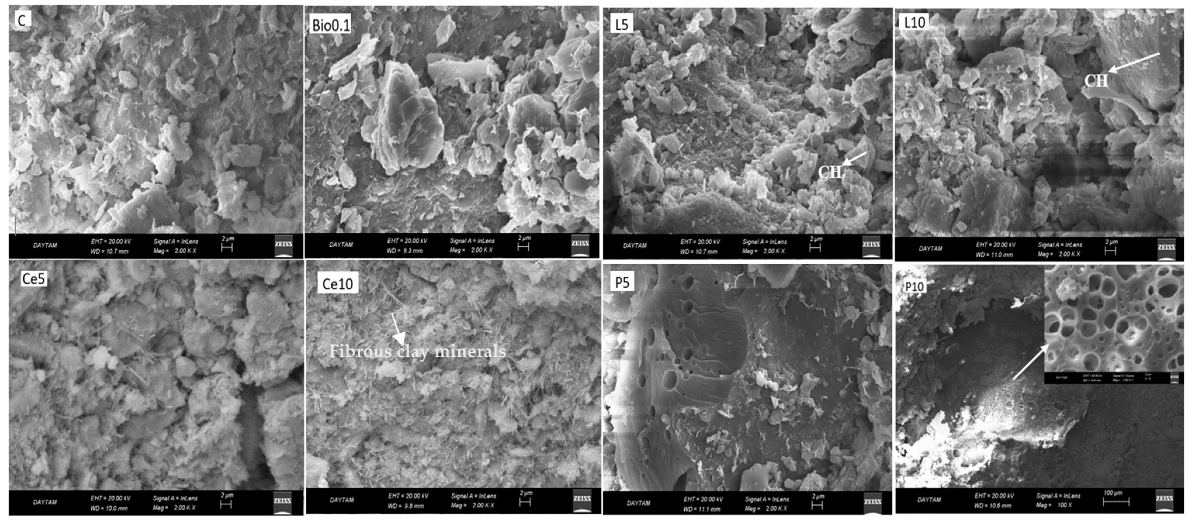 Sustainability 16 10784 g011 Sustainability 16 10784 g011