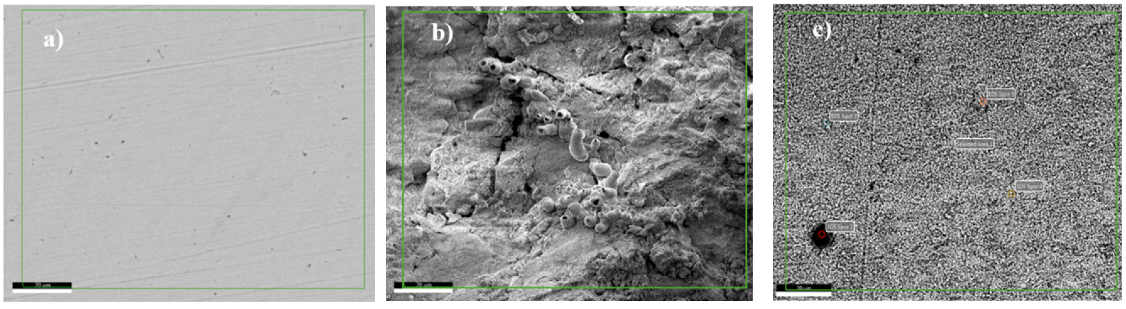 Sustainability 16 10796 g007