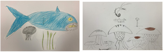 Sustainability 16 10824 g0a1a